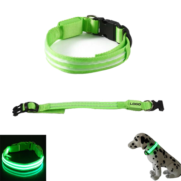 Dual LED pet collar